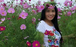 虎胆龙威4百度影音